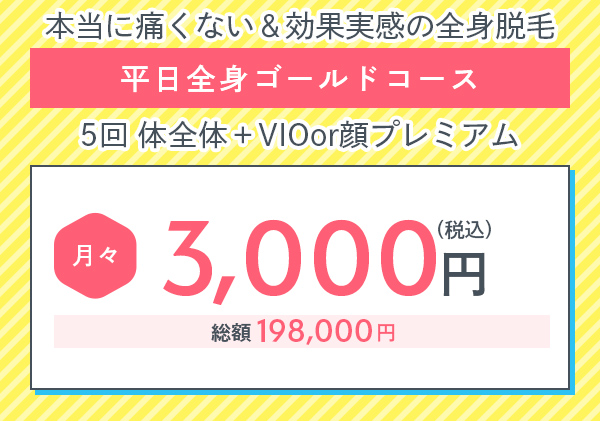 メンズ脱毛料金プラン